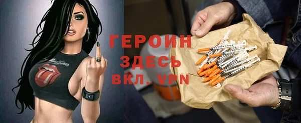 стаф Алексин