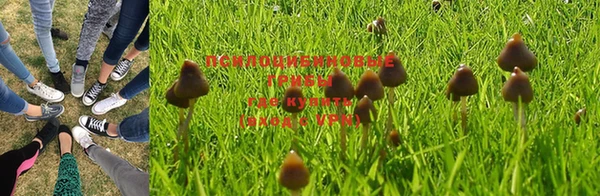 марихуана Алексеевка