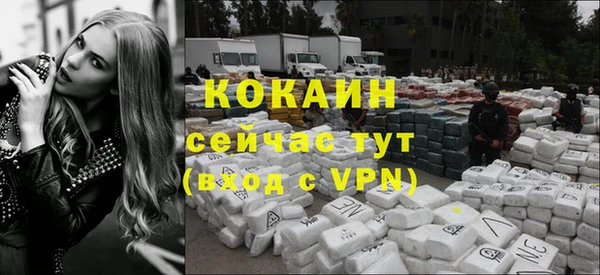 стафф Михайловск