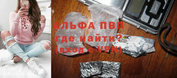 стаф Алексин