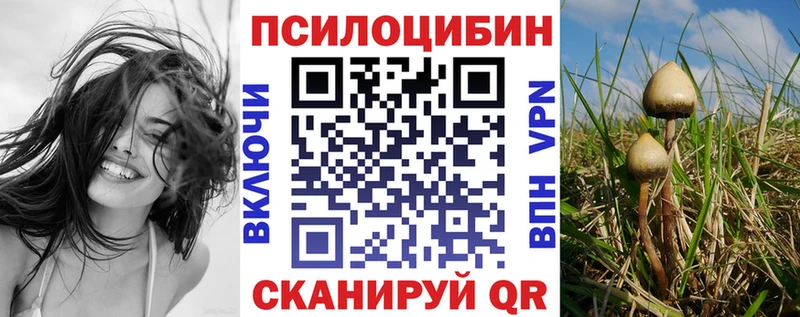 hydra сайт  Нытва  Псилоцибиновые грибы Psilocybe 